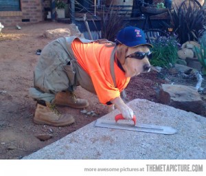 Dog costume---Construction worker