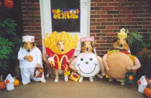 Dog costumes---Happy Meals