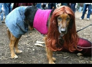 dog costume--Jersey Girl