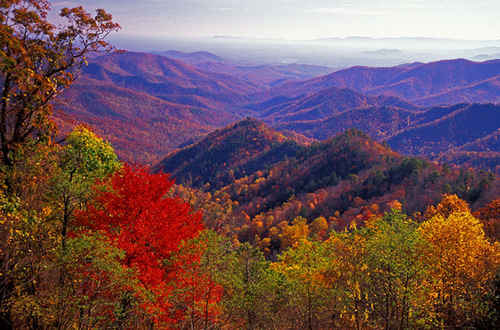 When Will the Foliage Color Peak in Virginia? – The Bull Elephant