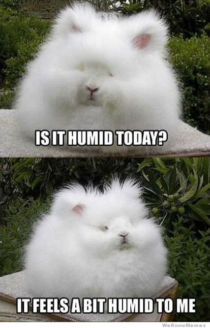humidity-