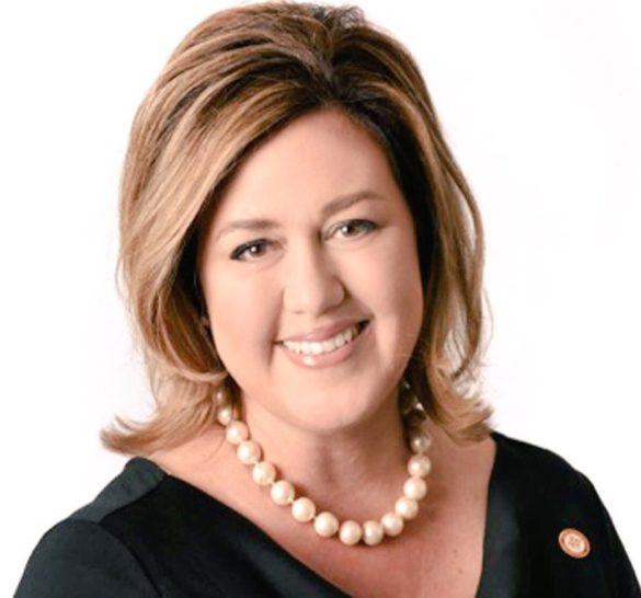 Another Loudoun Republican Running For Chairman Of The Board The Bull 