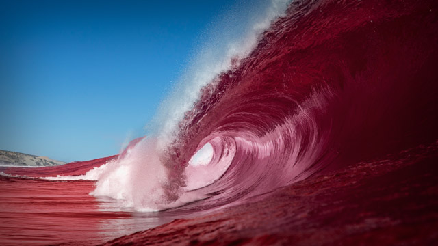 Red-Wave.jpg