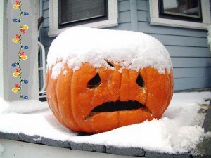 pumpkin with snow