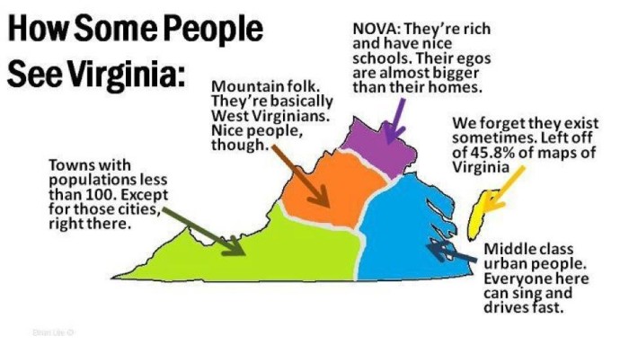How-Some-People-See-VA--700x394