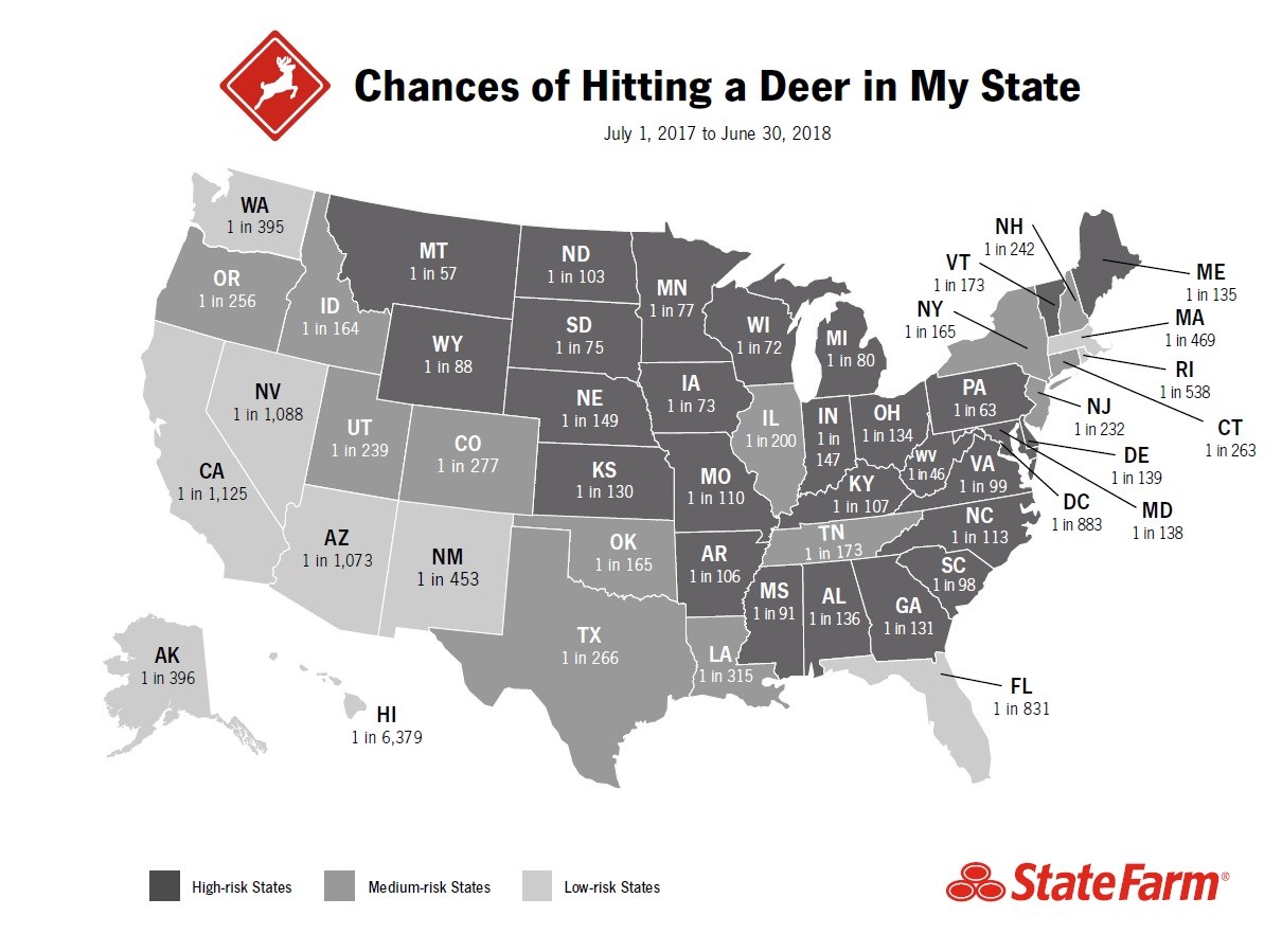 States with the most deer accidents – The Bull Elephant