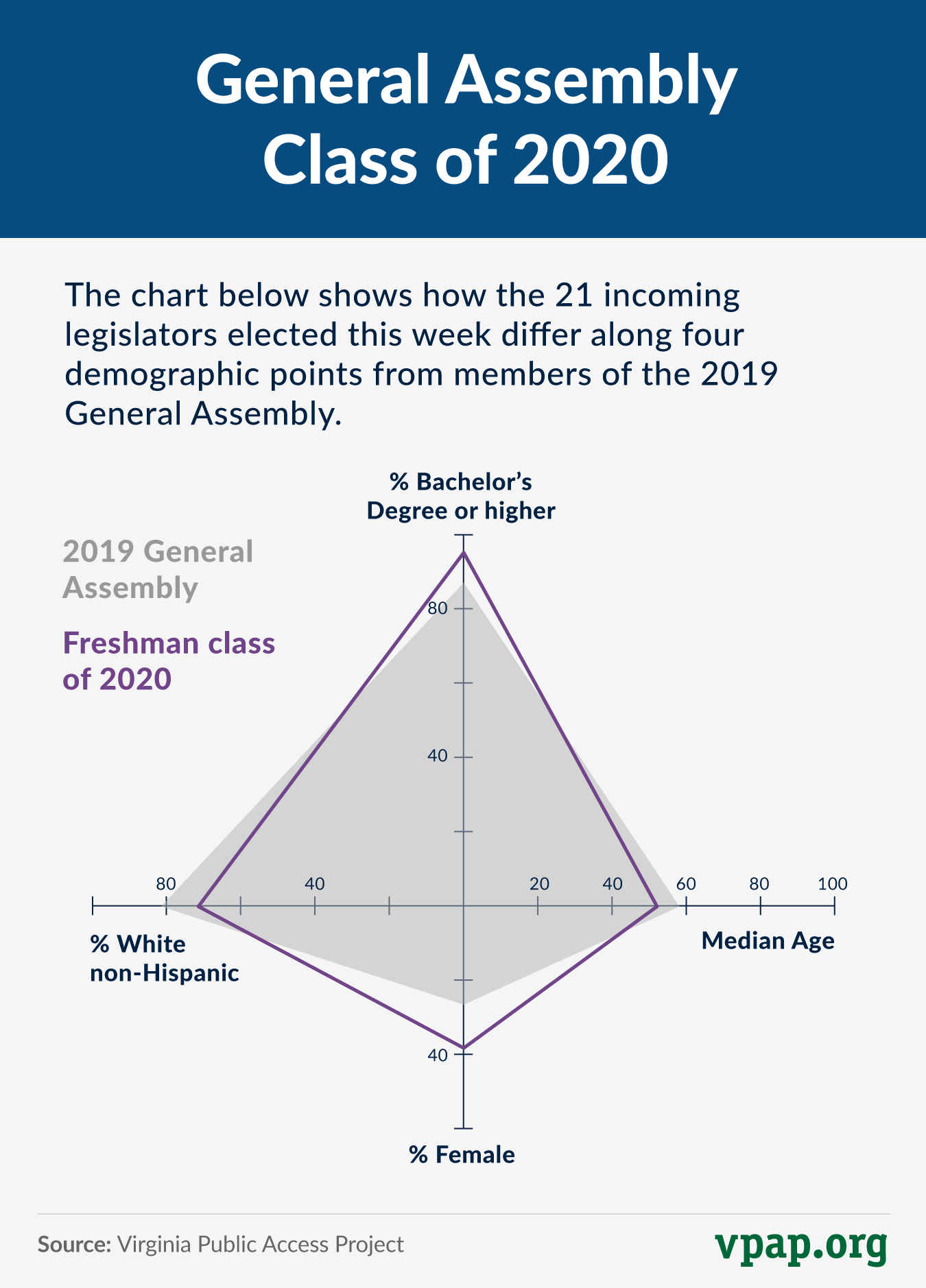 The makeup of the General Assembly 2020 The Bull Elephant