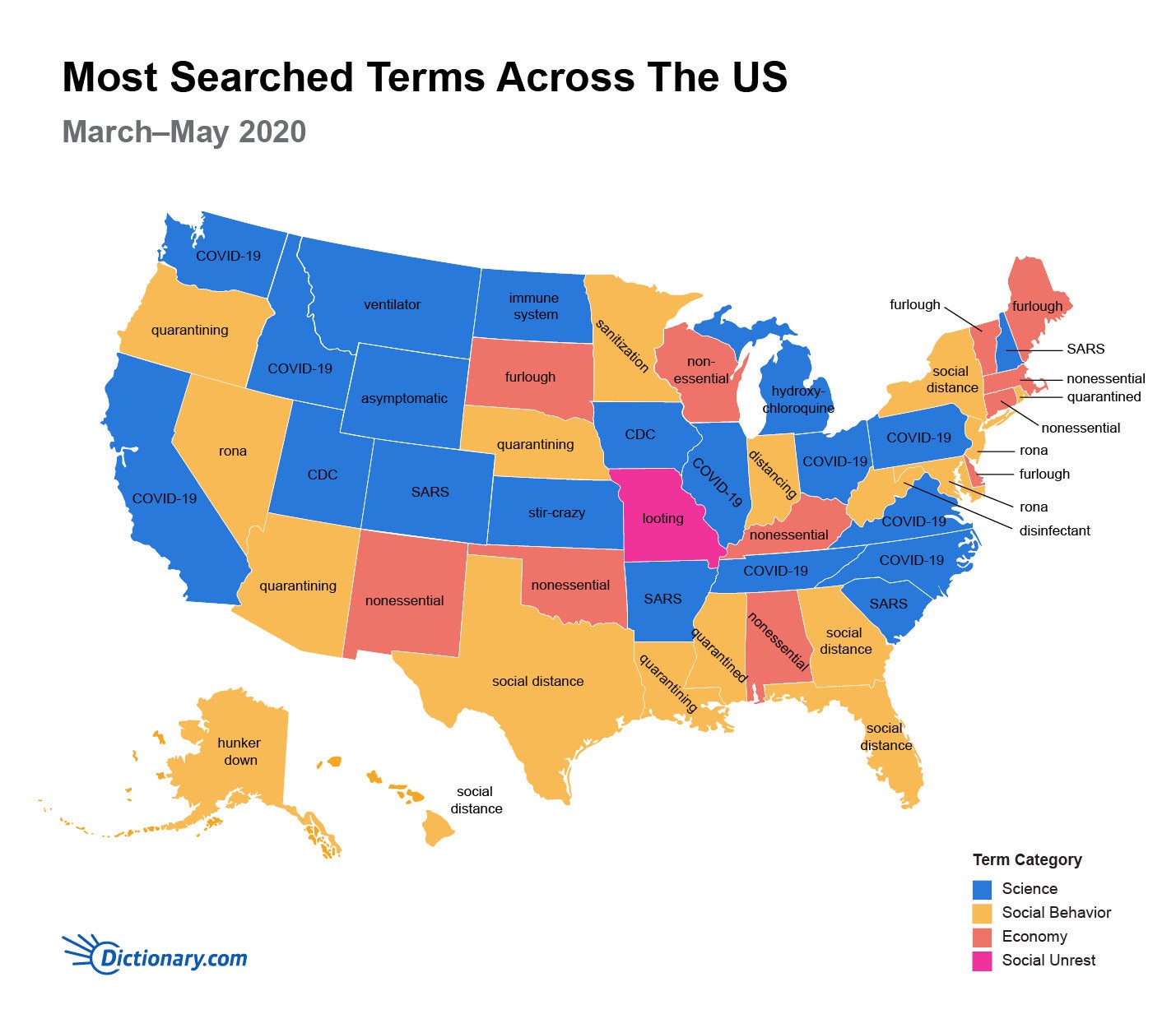 Most searched terms by state during COVID19 The Bull Elephant