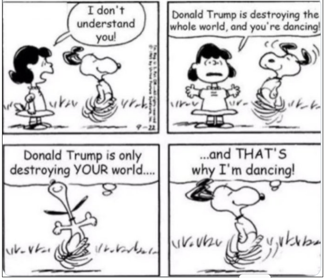 Sunday-Funday Memes – The Bull Elephant